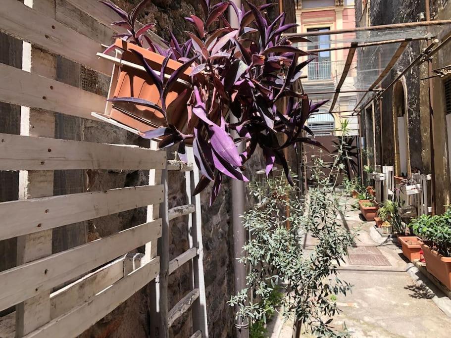Suite Vicolo Lavico CTA Exterior foto