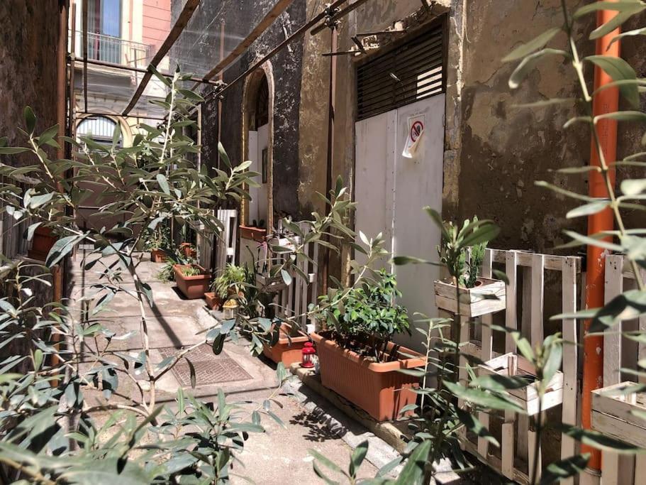 Suite Vicolo Lavico CTA Exterior foto