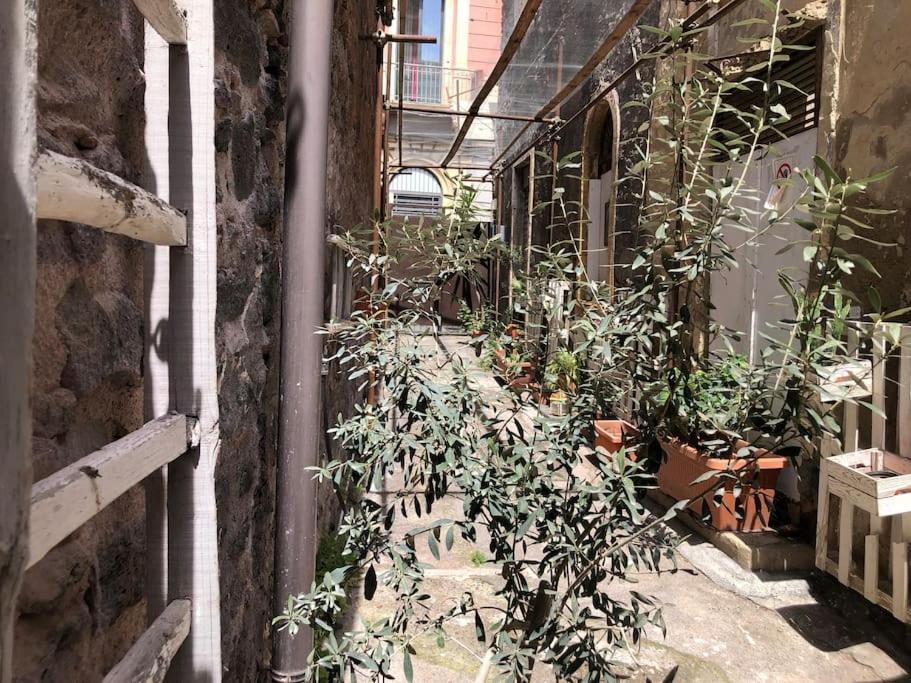 Suite Vicolo Lavico CTA Exterior foto